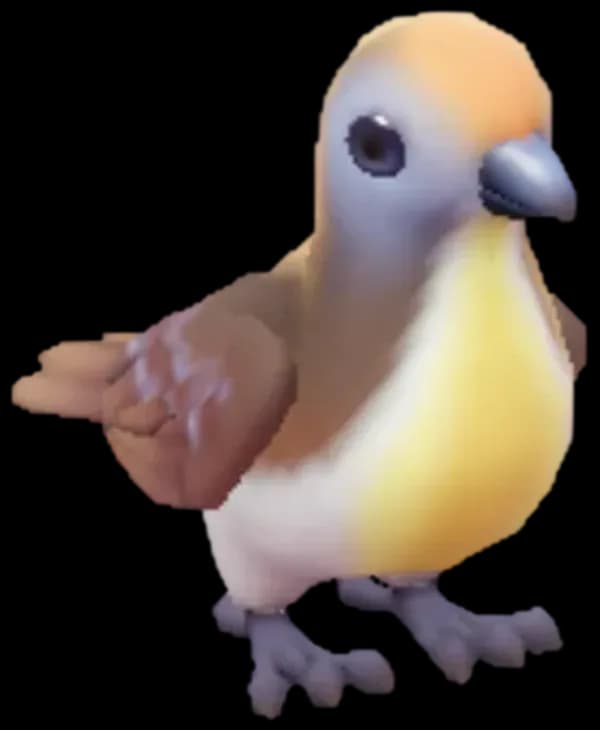 Cinnamon Ground Dove