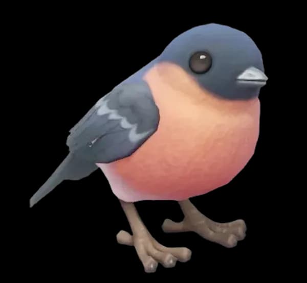 Eurasian Bullfinch