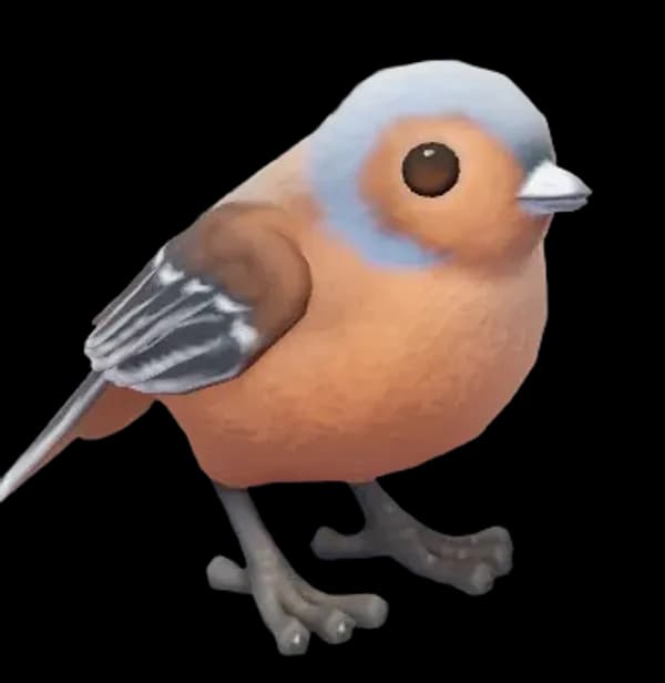 Eurasian Chaffinch