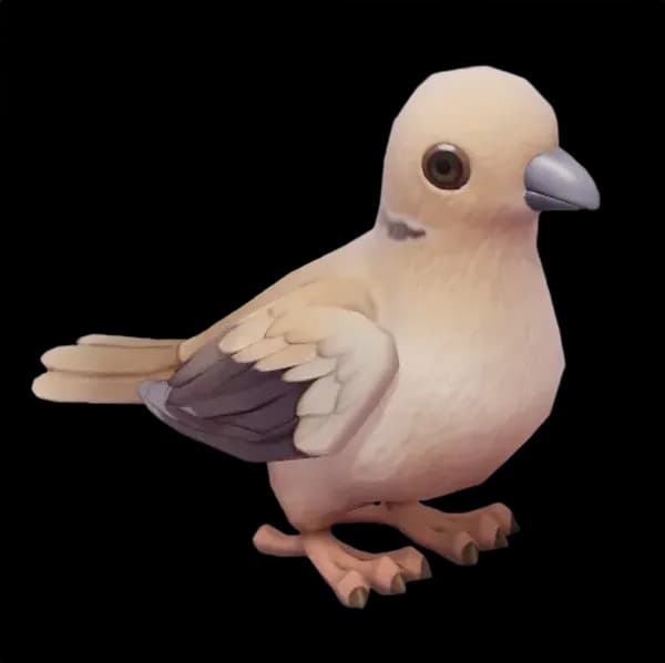 Eurasian Collared Dove
