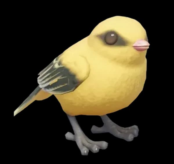 Eurasian Golden Oriole