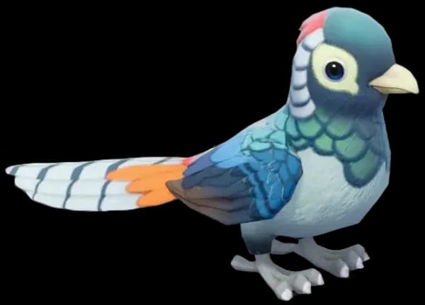 Lady Amherst Pheasant