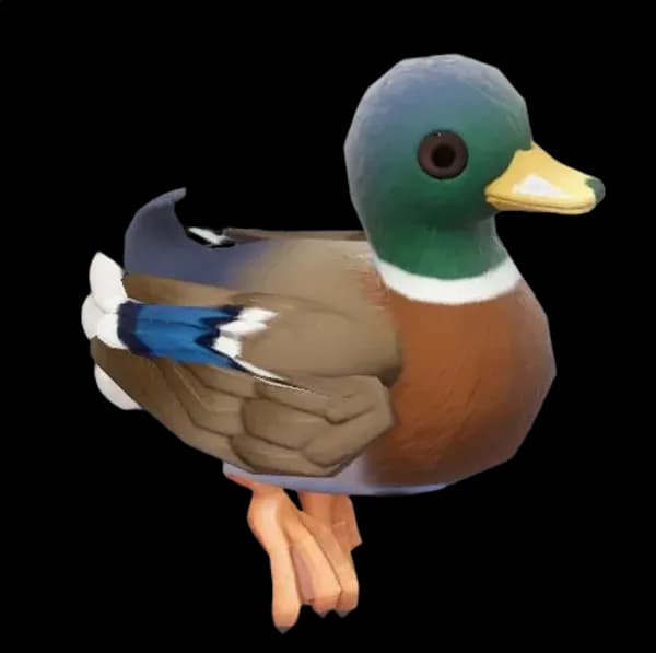Mallard