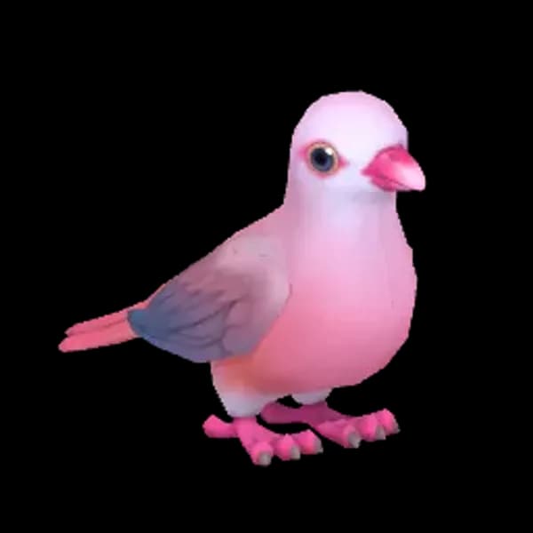 Pink Pigeon
