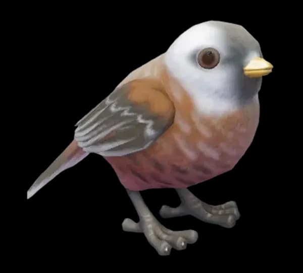 Przevalski's Parrotbill