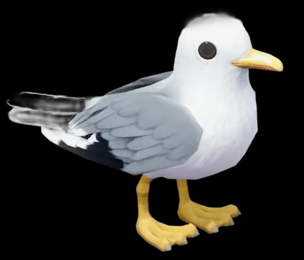 Seagull