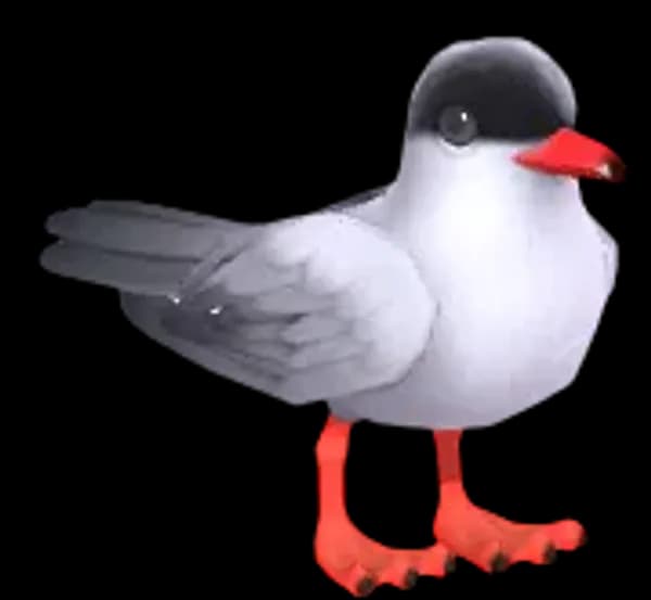 Tern