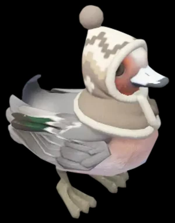 Winter Eurasian Wigeon