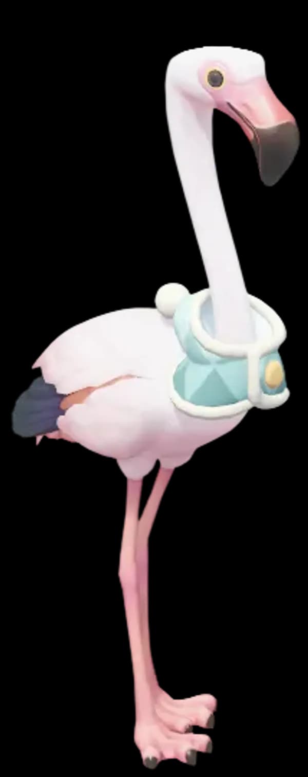 Winter Greater Flamingo