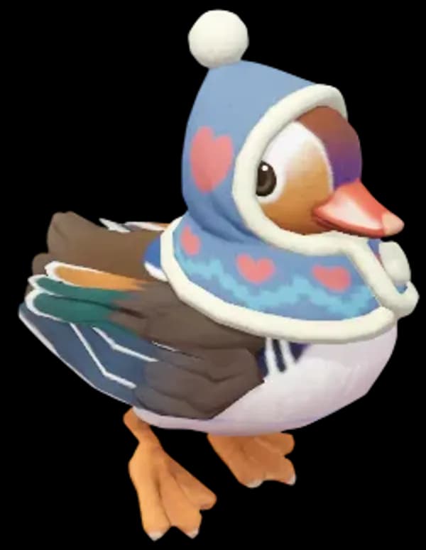 Winter Mandarin Duck