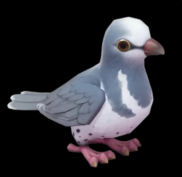 Wonga Pigeon