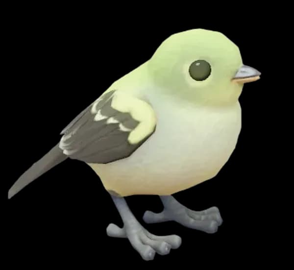 Yellow Bellied Flycatcher