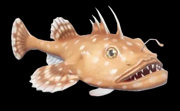 Anglerfish