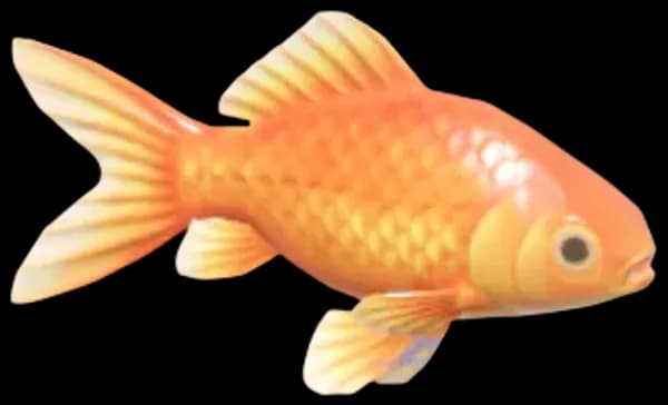 Goldfish