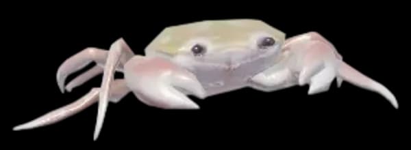River Crab