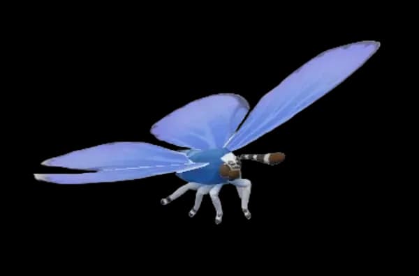 Common Blue Butterfly