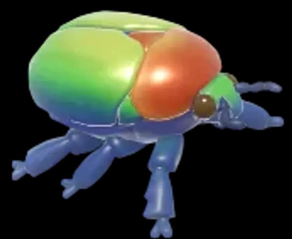 Elegant Flower Beetle