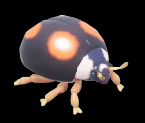 Four-Spotted Ladybug