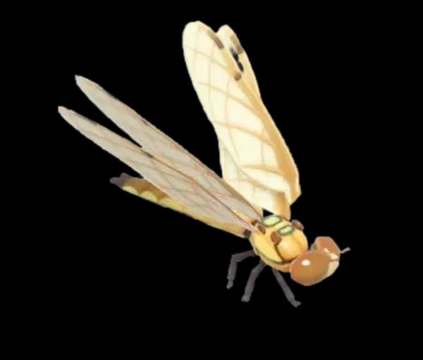 Four-Spotted Skimmer