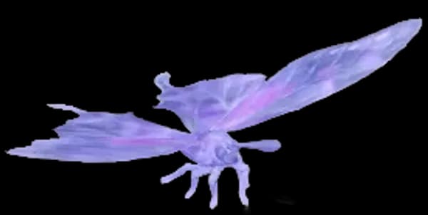 Frostspore Purple Spotted Swallowtail