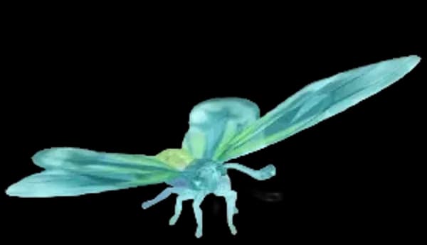 Frostspore Queen Alexandra's Birdwing