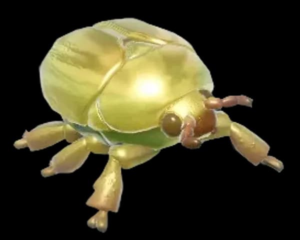 Golden Jewel Scarab