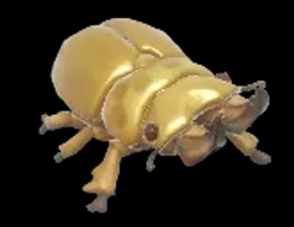 Golden Stag Beetle