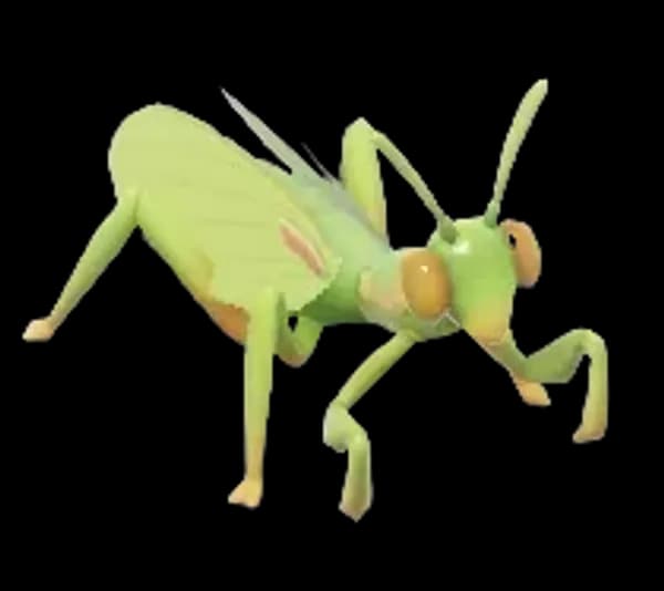 Mediterranean Mantis