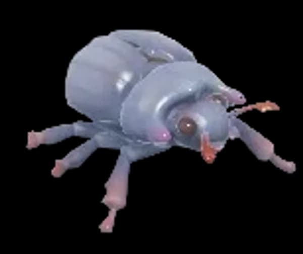 Minotaur Beetle