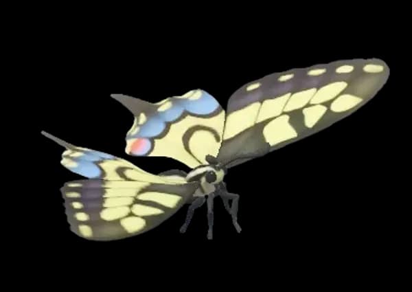 Old World Swallowtail