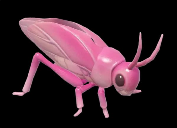 Pink Katydid