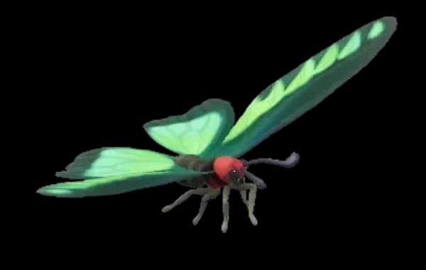 Rajah Brooke’s Birdwing