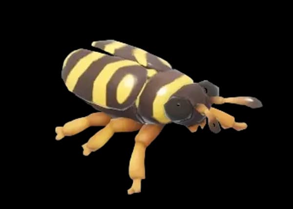 Wasp Beetle