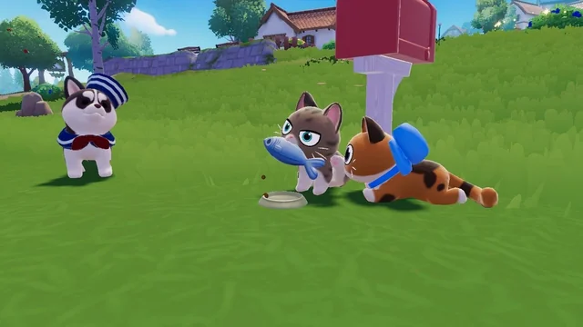 Pets screen