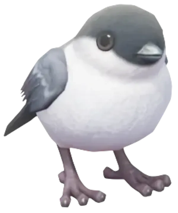 Camachuelo de las Azores