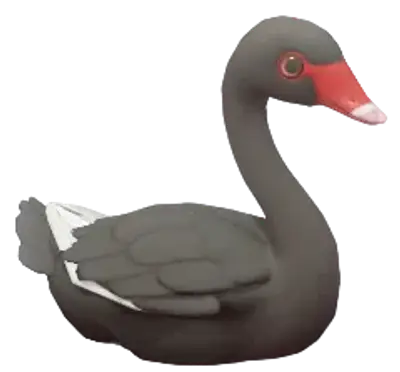Cisne Negro