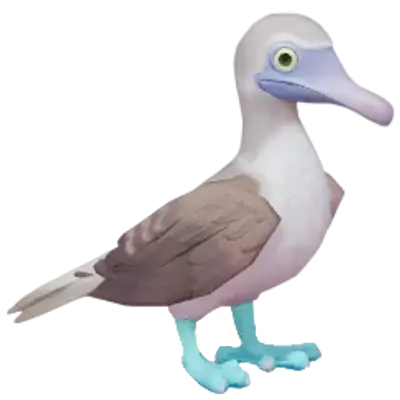 Piquero de Patas Azules