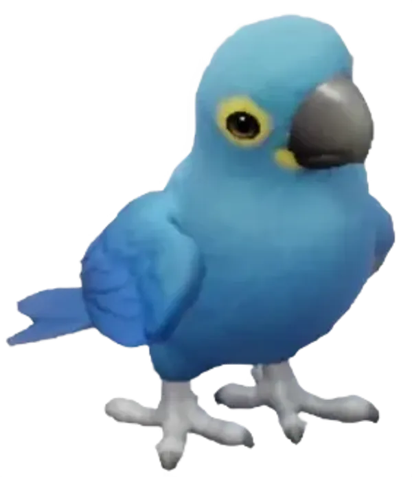 Guacamayo de Lear