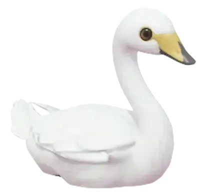 Cisne Cantor