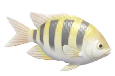 Peixe-Sargento