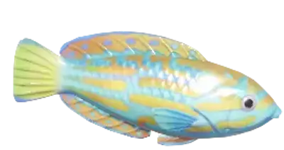 Bodião-Azul-e-Amarelo