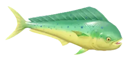 Dourado