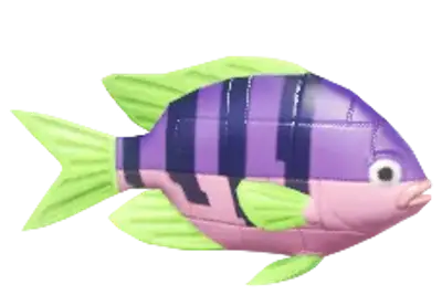 Peixe-Palhaço-Tijolo-Roxo