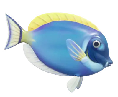 Peixe-Cirurgião-de-Face-Branca