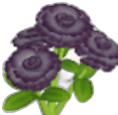Clavel