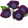 Amapola