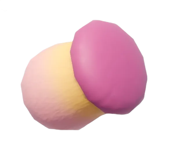 Boletales Extraño (Rosa)