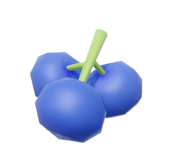 Blueberry