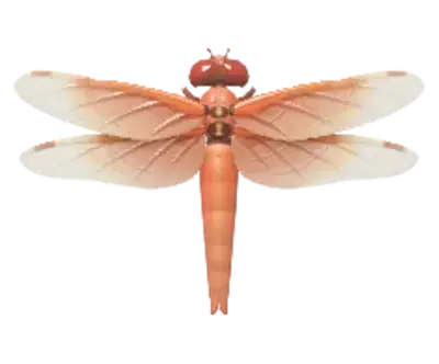 Libélula Llameante