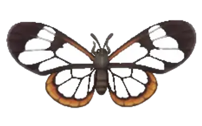 Mariposa de Cristal